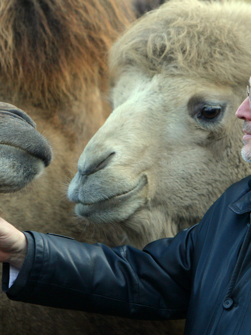 Der Direktor des Frankfurter Zoos, Manfred Niekisch, mit Kamelen.