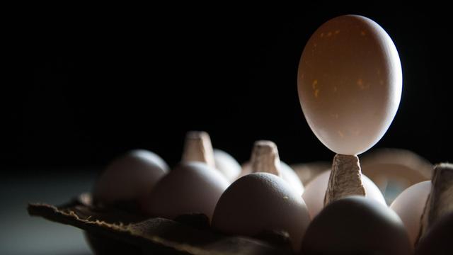 Ein Ei steht auf der pyramidenförmigen Erhebung einer Eierpappe, während es von einem Lichtpanel angeleuchtet wird.