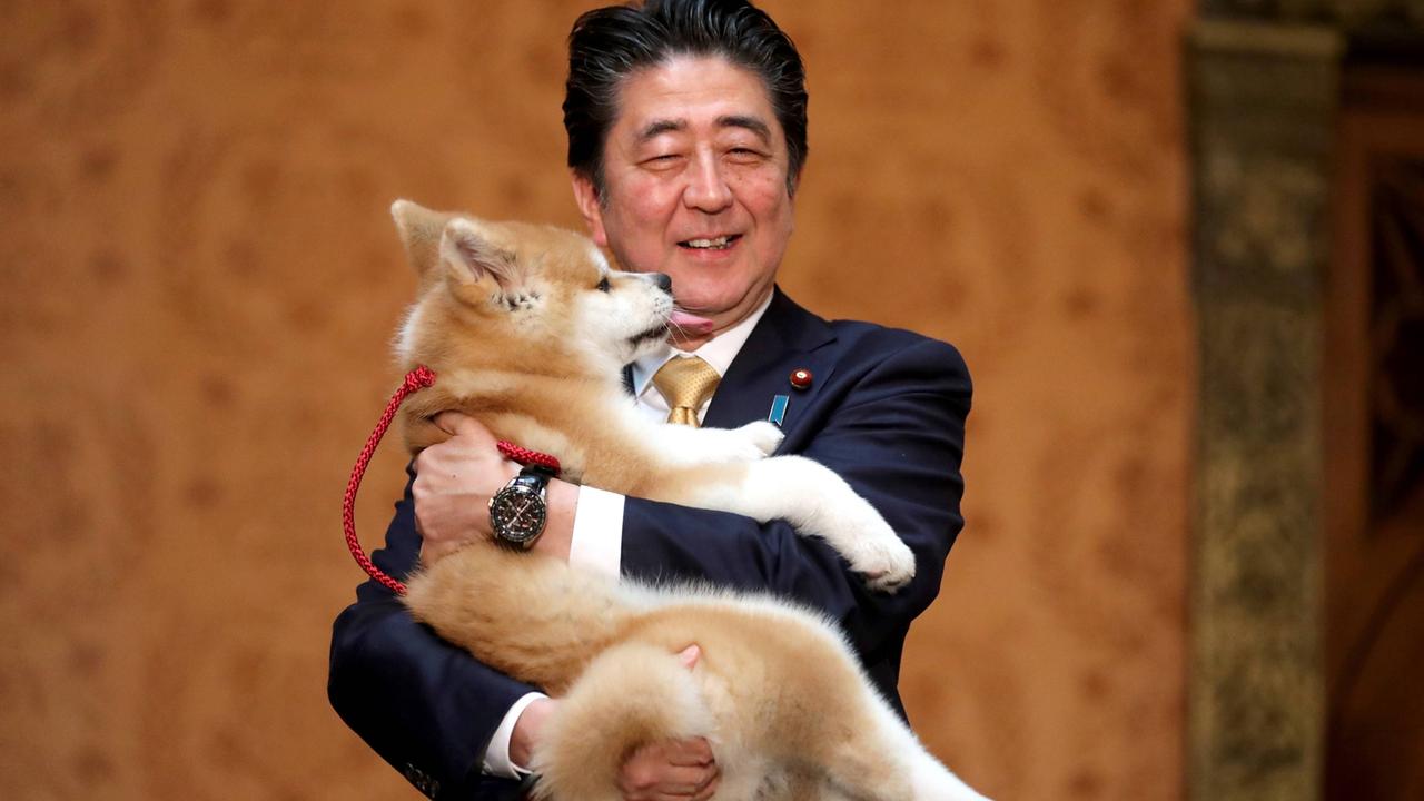 Japans Premierminister Shinzo Abe hält einen Akita Inu-Welpen namens Masaru im Arm.
