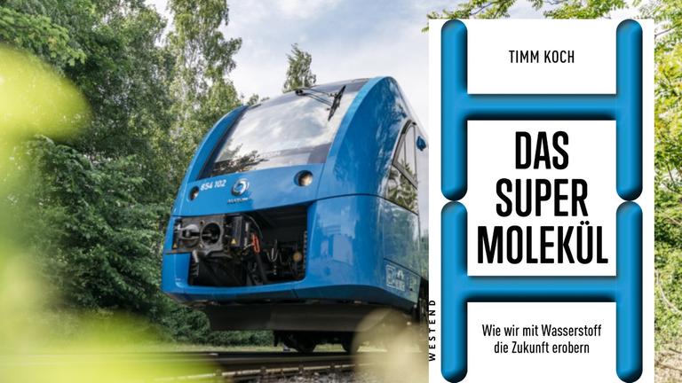 Der blaue Coradia iLint fährt durch einen Wald. Der blaue Coradia iLint fährt durch einen Wald.