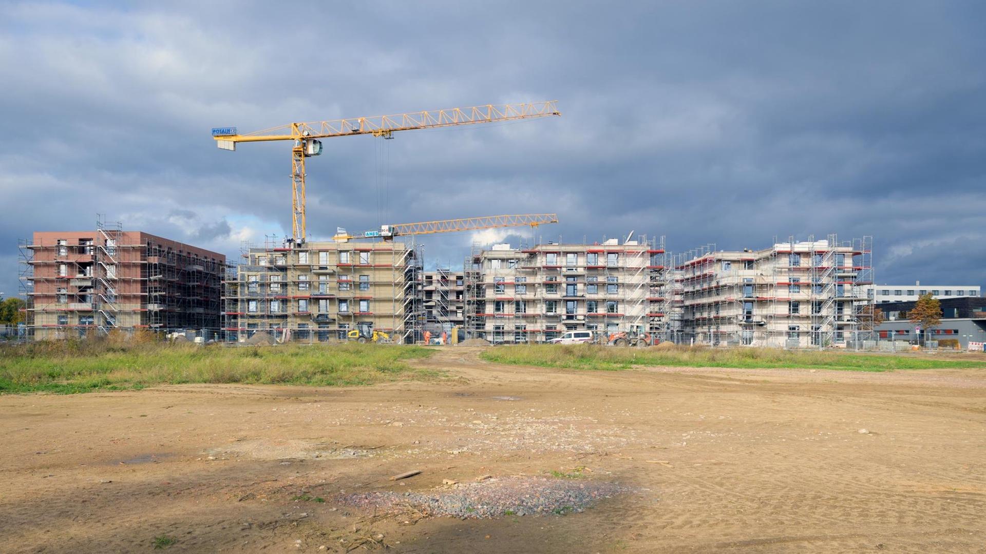 Gerüste stehen an den Rohbauten der Häuser an der Peter-Huchel-Straße. Die ProPotsdam GmbH baut auf dem Grundstück am Volkspark sieben Gebäude mit 117 Wohnungen und neun Gewerbeeinheiten. Mehr als drei Viertel der Wohnungen sollen Haushalten mit geringem Einkommen zur Verfügung stehen. Neben den Wohnungen sollen Angebote im Sozial- und Pflegebereich geschaffen werden. ProPotsdam will bis zum Jahr 2027 insgesamt 2500 Wohnungen in der Landeshauptstadt bauen. Gerüste stehen an den Rohbauten der Häuser an der Peter-Huchel-Straße. Die ProPotsdam GmbH baut auf dem Grundstück am Volkspark sieben Gebäude mit 117 Wohnungen und neun Gewerbeeinheiten. Mehr als drei Viertel der Wohnungen sollen Haushalten mit geringem Einkommen zur Verfügung stehen. Neben den Wohnungen sollen Angebote im Sozial- und Pflegebereich geschaffen werden. ProPotsdam will bis zum Jahr 2027 insgesamt 2500 Wohnungen in der Landeshauptstadt bauen.