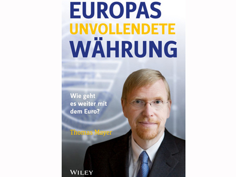 Cover: Thomas Mayer: Europas unvollendete Währung. Wie geht es weiter mit dem Euro? Cover: Thomas Mayer: Europas unvollendete Währung. Wie geht es weiter mit dem Euro?