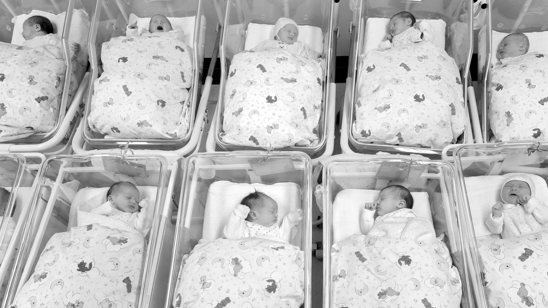 Viele Babys liegen zusammen auf der Neugeborenenstation. Mehr als 300.000 Babys sollen in der Zeit von Francisco Franco in Spanien verschwunden sein. Viele Babys liegen zusammen auf der Neugeborenenstation. Mehr als 300.000 Babys sollen in der Zeit von Francisco Franco in Spanien verschwunden sein.