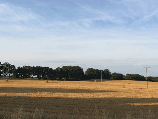 Acker in Mecklenburg-Vorpommern - das Bundesland ist ein ausgesprochenes Agrarland.