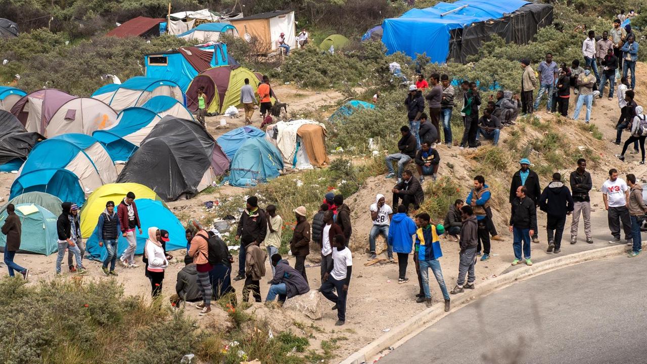 "New Jungle" - so wird das Zeltlager in Calais genannt. "New Jungle" - so wird das Zeltlager in Calais genannt.