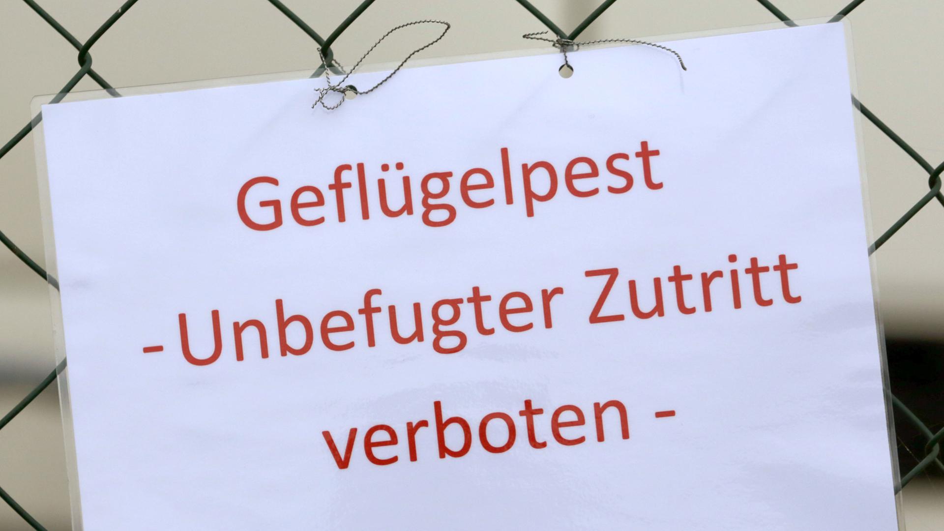 Ein Schild informiert am 06.11.2014 über den Ausbruch der Geflügelpest in einem Mastputenbetrieb im Kreis Vorpommern-Greifswald.