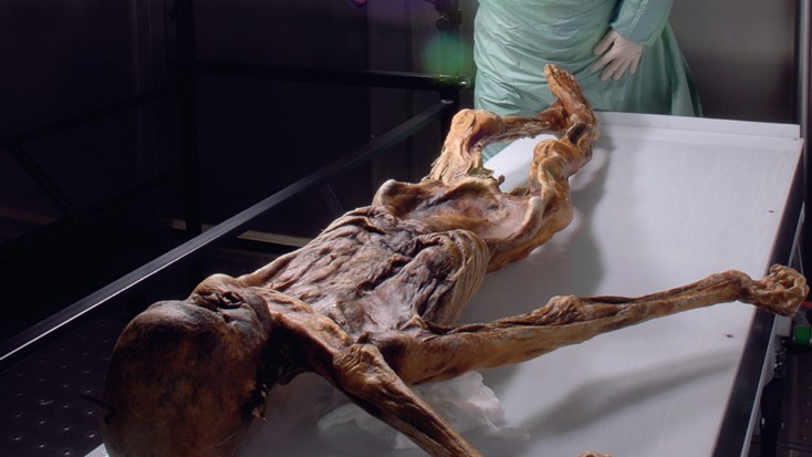Die Gletschermumie Ötzi. Die Gletschermumie Ötzi.