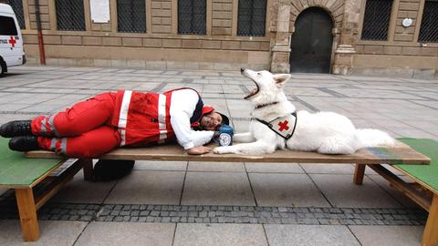 Ein Rettungssanitäter in Uniform liegt mit seinem weißen Rettungshund auf einer Bank. Zwischen ihnen eine Sammelbüchse.