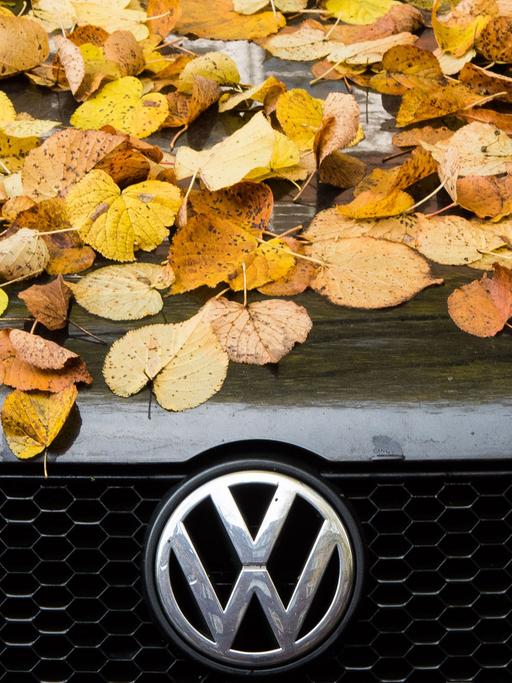 Ein mit Laub bedecktes Auto vom Hersteller Volkswagen (VW) Typ Polo parkt in Hamburg.