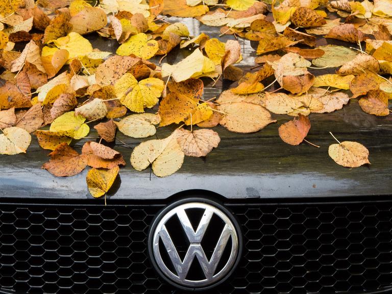 Ein mit Laub bedecktes Auto vom Hersteller Volkswagen (VW) Typ Polo parkt in Hamburg.