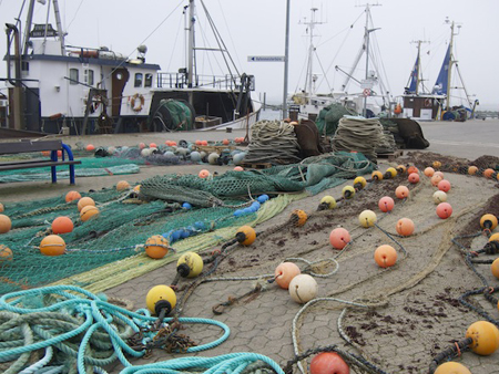 Fischernetze in Burgstaaken (Insel Fehmarn) Fischernetze in Burgstaaken (Insel Fehmarn)