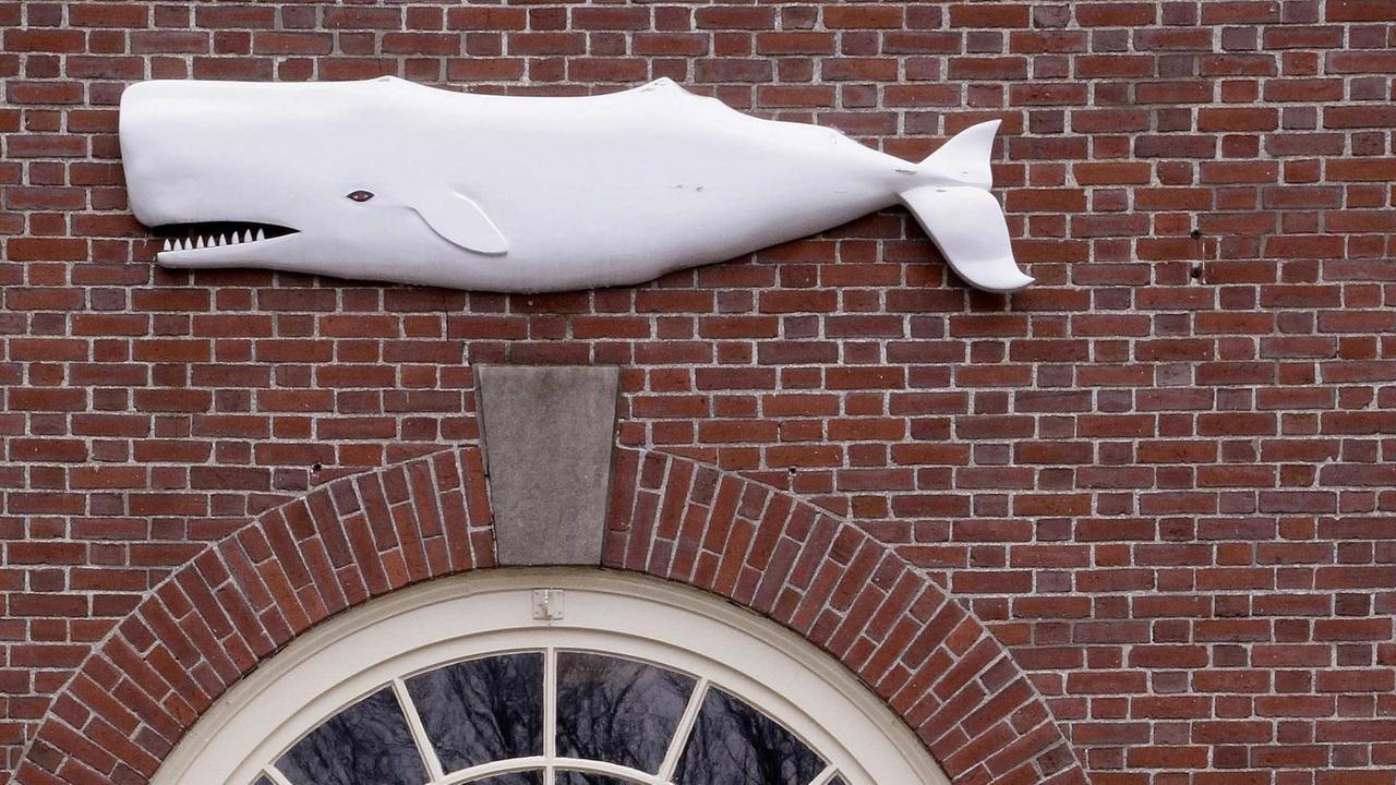 Ein weißer Wal schmückt den Eingang zum New Bedford Whaling Museum in Massachusetts. Hier wird alljährlich 25 Stunden nonstop aus Herman Melvilles Roman "Moby Dick" gelesen. Ein weißer Wal schmückt den Eingang zum New Bedford Whaling Museum in Massachusetts. Hier wird alljährlich 25 Stunden nonstop aus Herman Melvilles Roman "Moby Dick" gelesen.