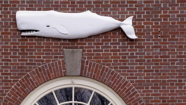 Ein weißer Wal schmückt den Eingang zum New Bedford Whaling Museum in Massachusetts. Hier wird alljährlich 25 Stunden nonstop aus Herman Melvilles Roman "Moby Dick" gelesen.