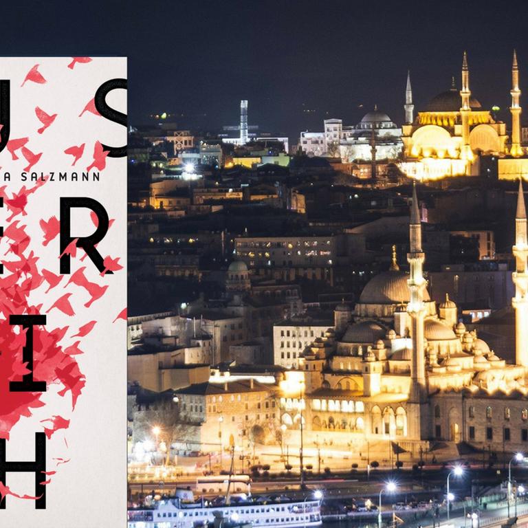 Im Vordergrund das Buchcover von Sasha Marianna Salzmanns "Außer sich", im Hintergrund eine Stadtansicht von Istanbul bei Nacht