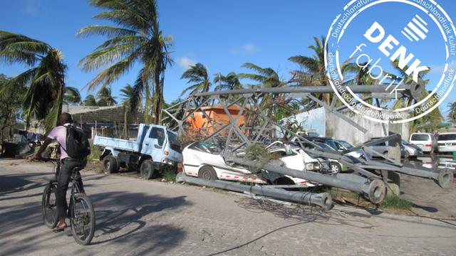 Von Palmen gesäumte Straße mit zerstörten Autos