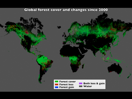 Mit Bildern des NASA-Satelliten LANDSAT haben Forscher berechnet, wie sich die Waldbedeckung weltweit seit dem Jahr 2000 verändert hat.