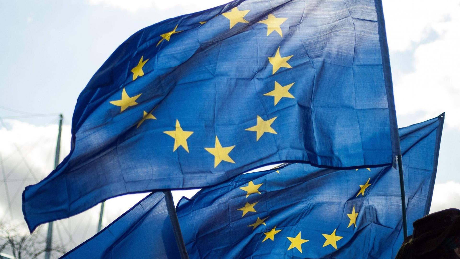 EU-Flaggen wehen im Wind EU-Flaggen wehen im Wind
