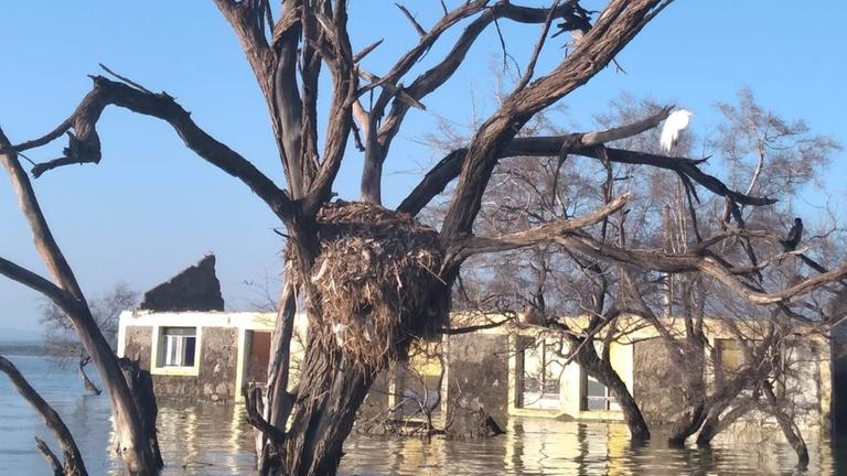 Ein überspültes Haus im Wasser. Ein überspültes Haus im Wasser.