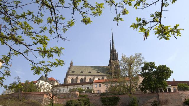Cathedral of St. Peter and Paul in Brno, Czech Republic. |