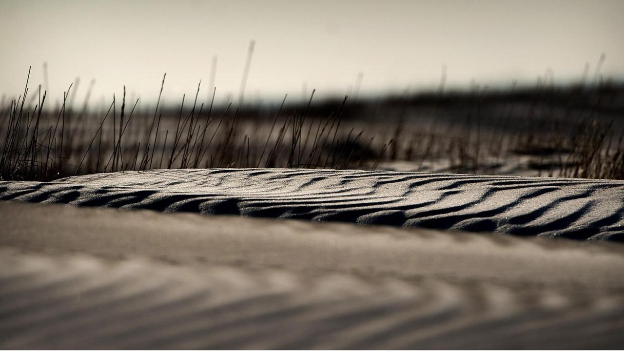 Sanddünen auf der niederländischen Insel Schiermonnikoog, aufgenommen im März 2013.