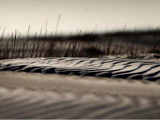Sanddünen auf der niederländischen Insel Schiermonnikoog, aufgenommen im März 2013.