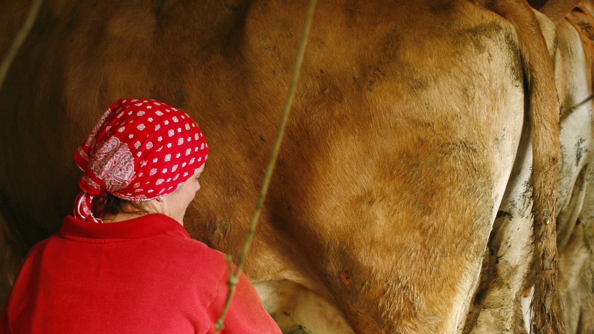 Eine Bäuerin melkt eine Kuh im Stall.