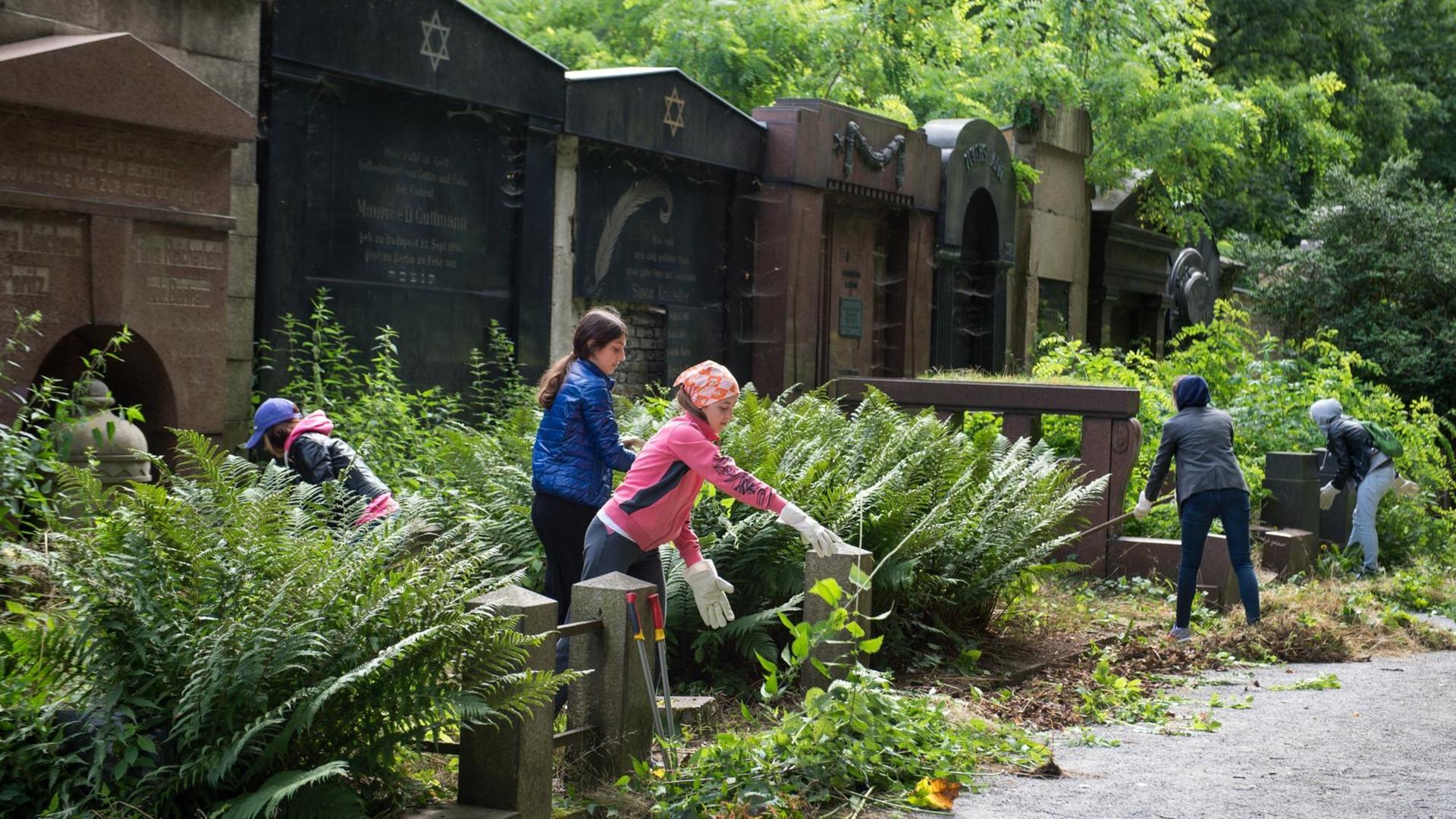 Teilnehmer des Sommerlagers von Aktion Sühnezeichen Friedensdienste säubern am 31.07.2015 Grabstätten auf dem Jüdischen Friedhof in Berlin-Weißensee. Die jungen Erwachsenen aus Deutschland und Russland führen notwendige Pflege- und Erhaltungsarbeiten auf dem jüdischen Friedhof durch und setzen sich mit der Vergangenheit und Gegenwart jüdischen und russischen Lebens in Berlin auseinander. Teilnehmer des Sommerlagers von Aktion Sühnezeichen Friedensdienste säubern am 31.07.2015 Grabstätten auf dem Jüdischen Friedhof in Berlin-Weißensee. Die jungen Erwachsenen aus Deutschland und Russland führen notwendige Pflege- und Erhaltungsarbeiten auf dem jüdischen Friedhof durch und setzen sich mit der Vergangenheit und Gegenwart jüdischen und russischen Lebens in Berlin auseinander.