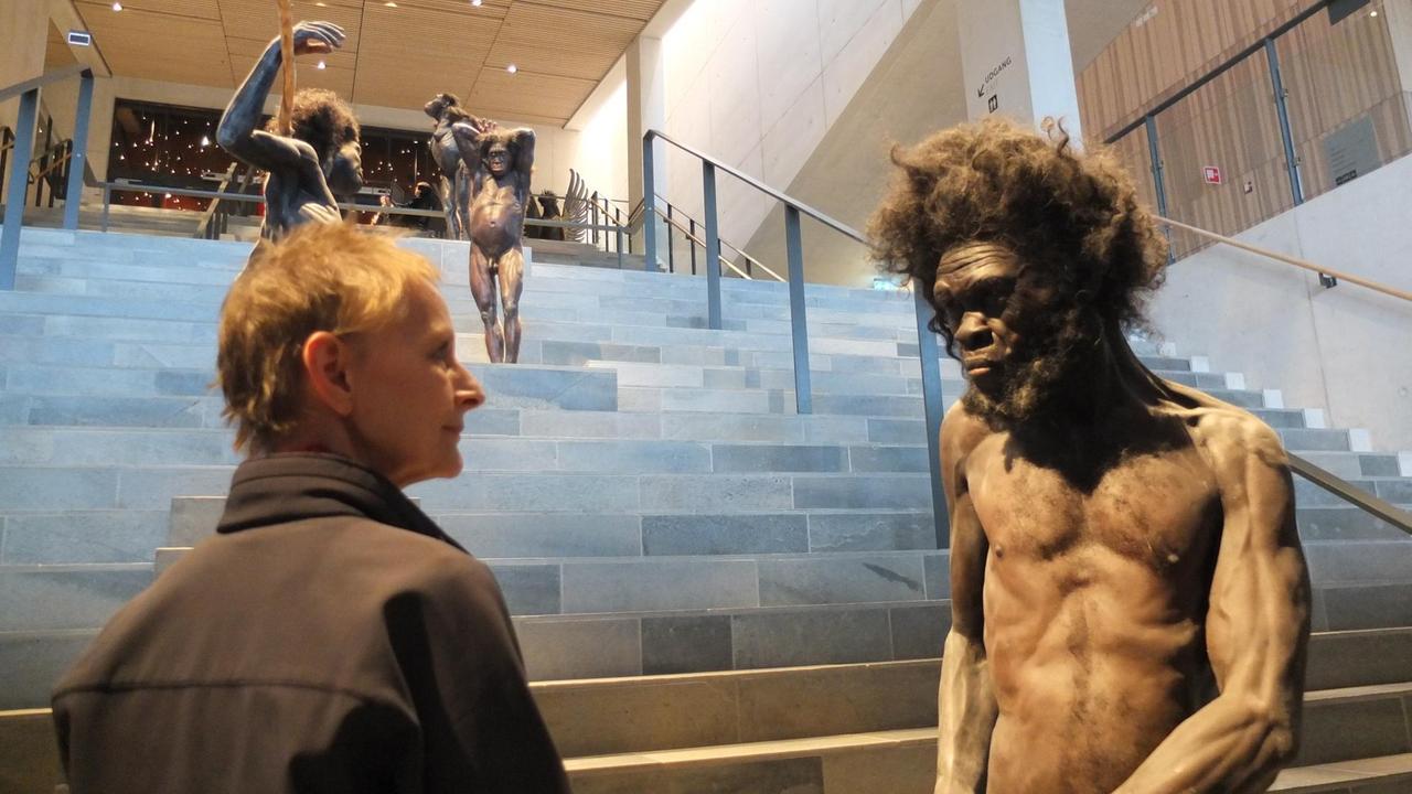 Treppe der Evolution im Museum für Archäologie und Vorgeschichte Moesgaard, südlich von Aarhus. Treppe der Evolution im Museum für Archäologie und Vorgeschichte Moesgaard, südlich von Aarhus.