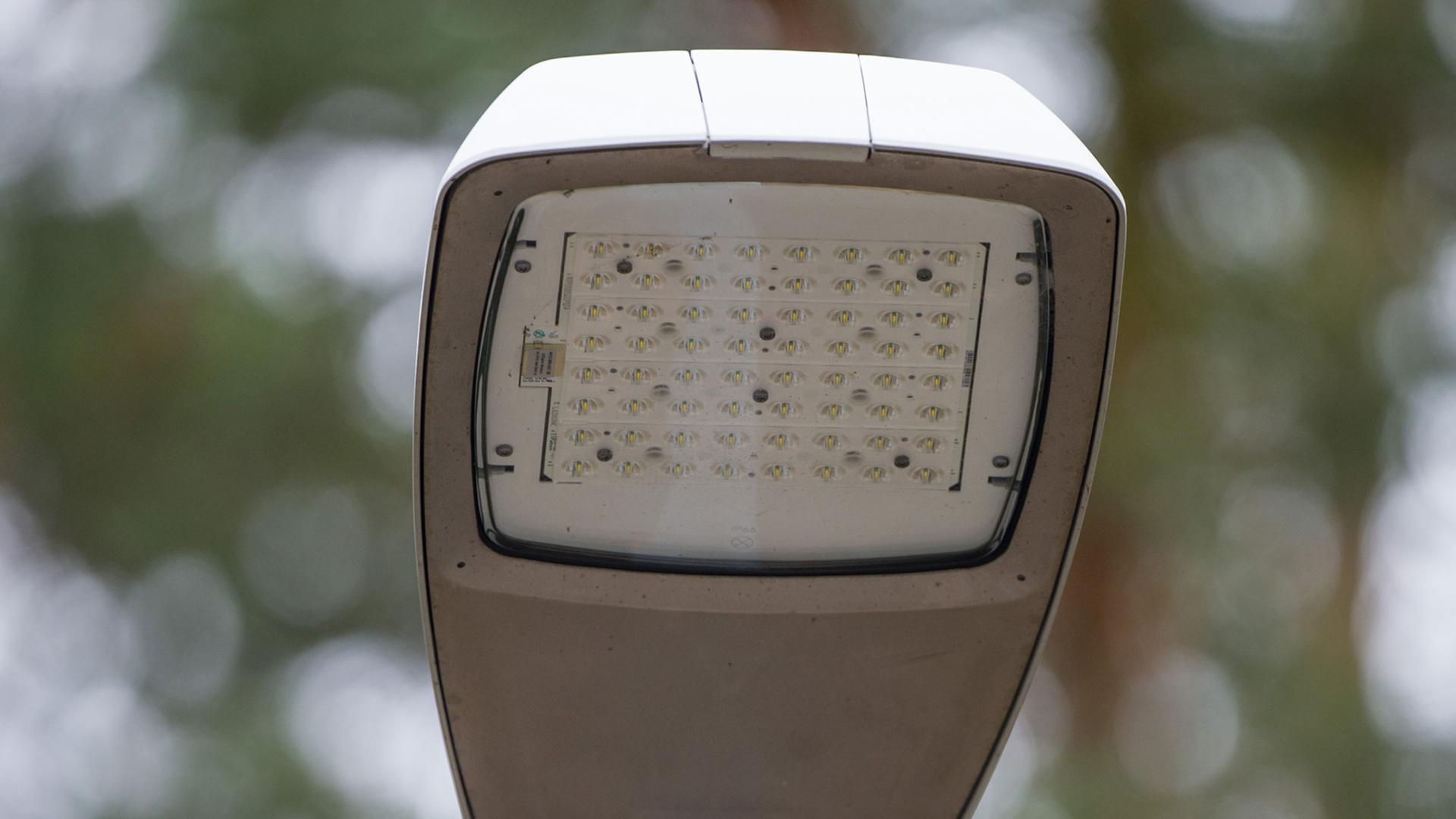 Eine Straßenlampe mit LED-Leuchten steht am 29.11.2012 in Sandhausen (Baden-Württemberg). Eine Straßenlampe mit LED-Leuchten steht am 29.11.2012 in Sandhausen (Baden-Württemberg).