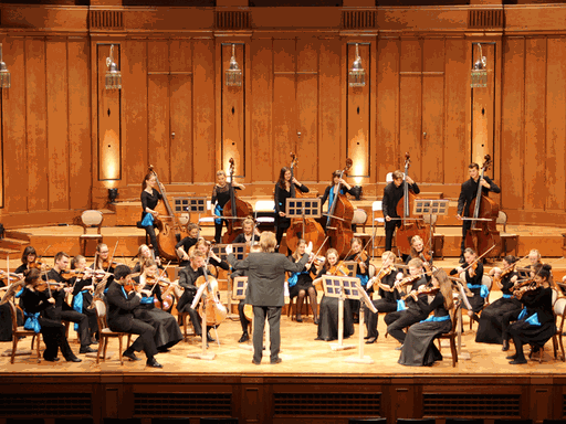 Die Deutsche Streicherphilharmonie bei einem Gastspiel in Bad Kissingen im Mai 2015