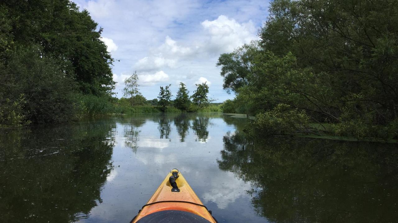 Im Vordergrund die Spitze eines Paddelbootes auf einem Fluss. Die Flussufer werden von grünen Bäumen gesäumt. Im Vordergrund die Spitze eines Paddelbootes auf einem Fluss. Die Flussufer werden von grünen Bäumen gesäumt.
