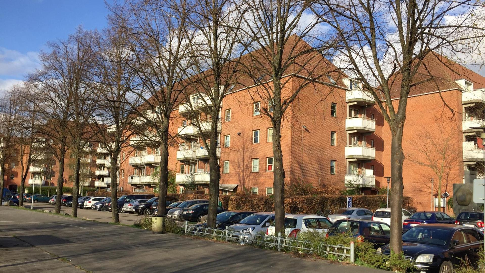 Das Viertel Mjølnerparken in Kopenhagen steht schon länger auf der "Ghetto"-Liste der dänischen Regierung. 80 Prozent der Bewohner haben einen Migrationshintergrund. Das Viertel Mjølnerparken in Kopenhagen steht schon länger auf der "Ghetto"-Liste der dänischen Regierung. 80 Prozent der Bewohner haben einen Migrationshintergrund.