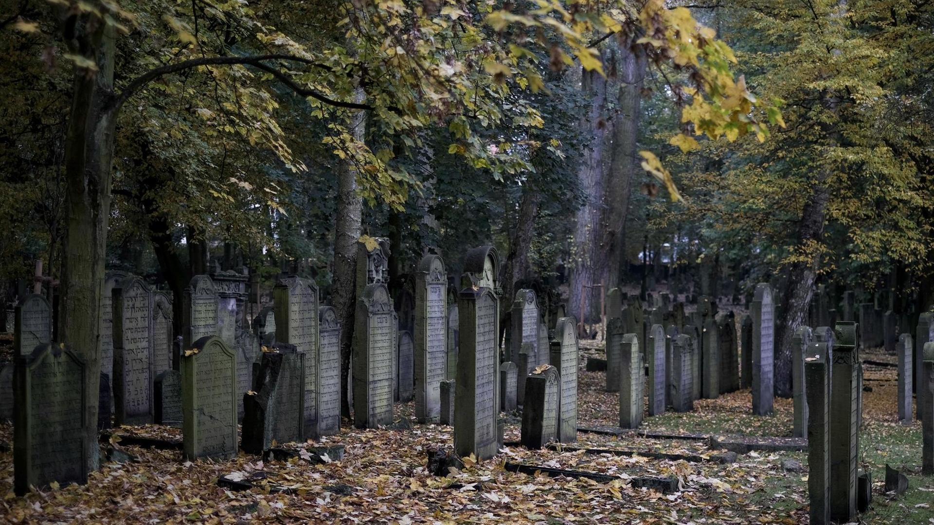 Grabsteine stehen am 27.10.2016 in Hamburg auf dem jüdischen Friedhof in Hamburg-Altona Grabsteine stehen am 27.10.2016 in Hamburg auf dem jüdischen Friedhof in Hamburg-Altona