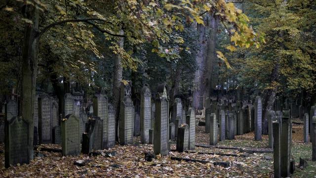 Grabsteine stehen am 27.10.2016 in Hamburg auf dem jüdischen Friedhof in Hamburg-Altona