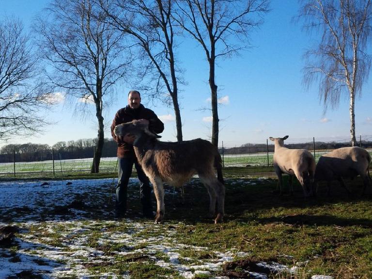 Tino Barth mit Esel und Schafen.