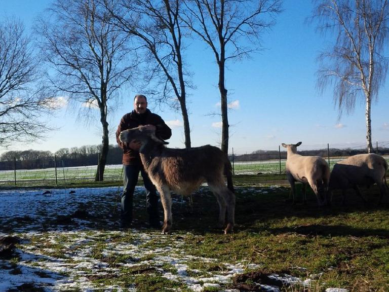 Tino Barth mit Esel und Schafen. Tino Barth mit Esel und Schafen.