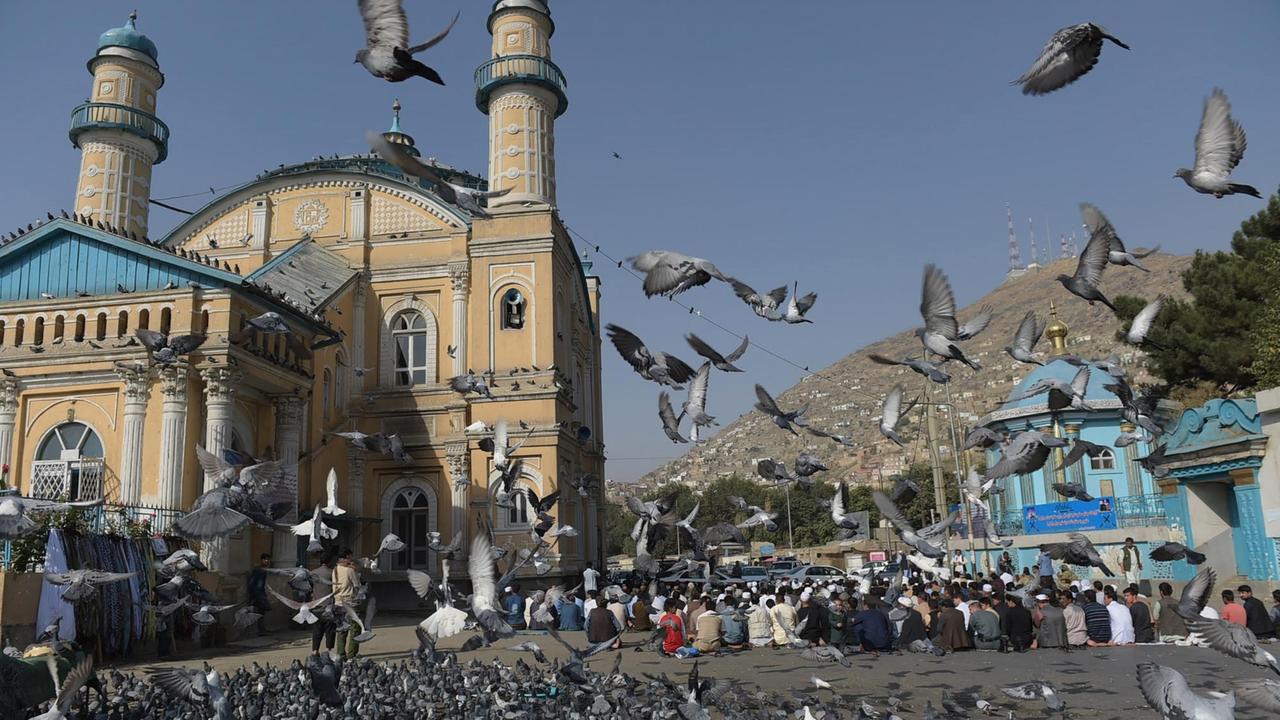 Afghanische Männer beten zum Opferfest neben einer Moschee in Kabul, im Vordergrund fliegt ein Schwarm Tauben. Afghanische Männer beten zum Opferfest neben einer Moschee in Kabul, im Vordergrund fliegt ein Schwarm Tauben.