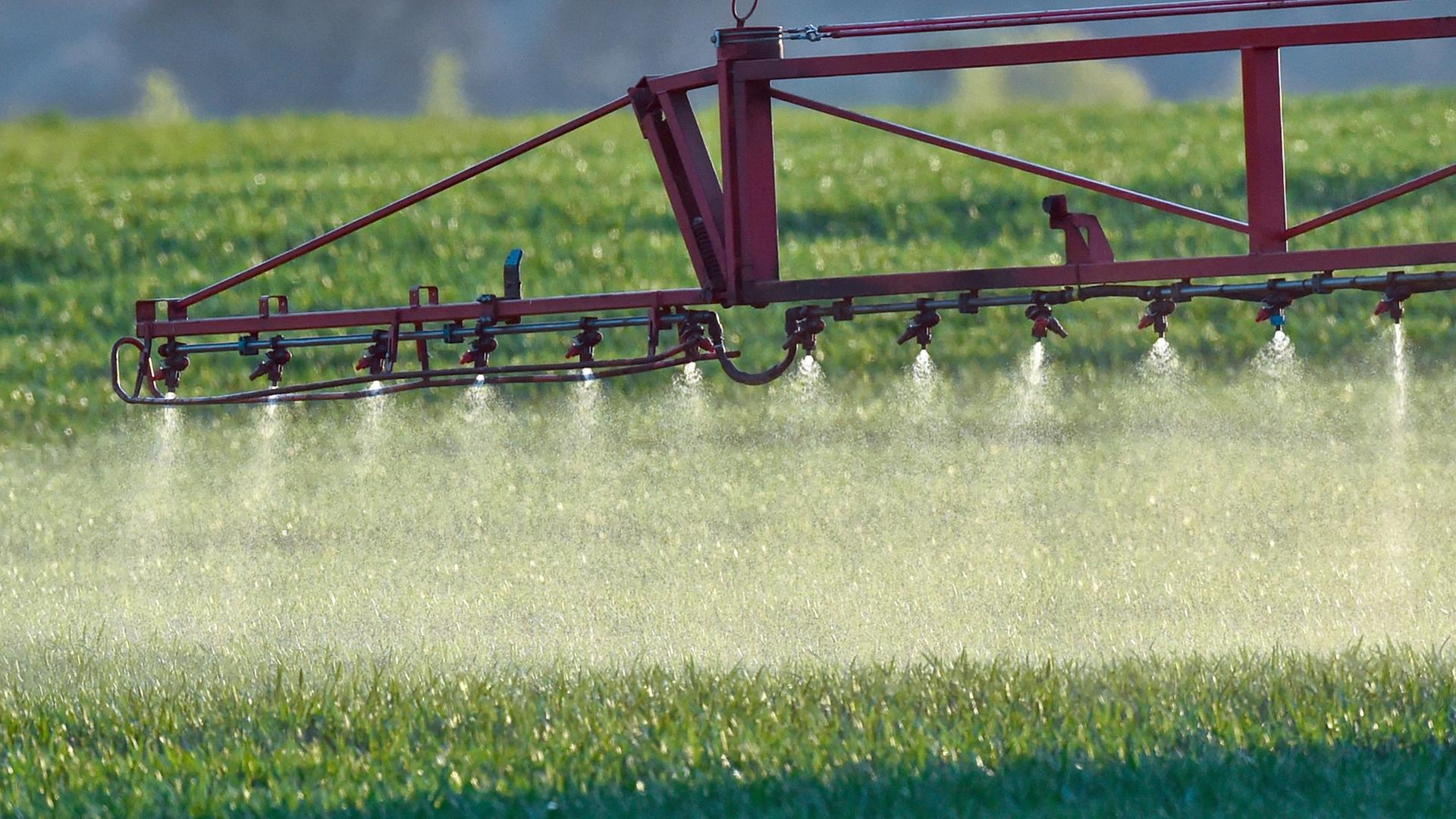 Ein Landwirt fährt mit einer Dünger- und Pestizidspritze über ein Feld mit jungem Getreide in Sieversdorf im Landkreis Oder-Spree. Ein Landwirt fährt mit einer Dünger- und Pestizidspritze über ein Feld mit jungem Getreide in Sieversdorf im Landkreis Oder-Spree.