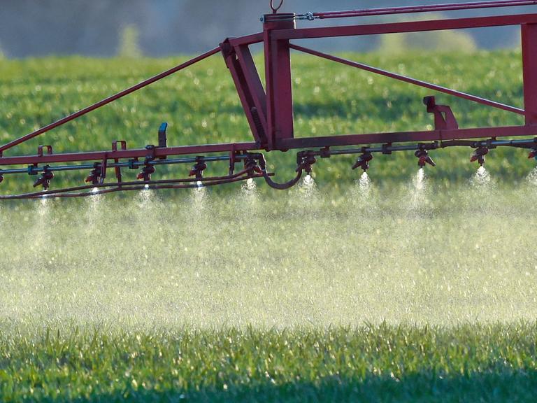 Ein Landwirt fährt mit einer Dünger- und Pestizidspritze über ein Feld mit jungem Getreide in Sieversdorf im Landkreis Oder-Spree.