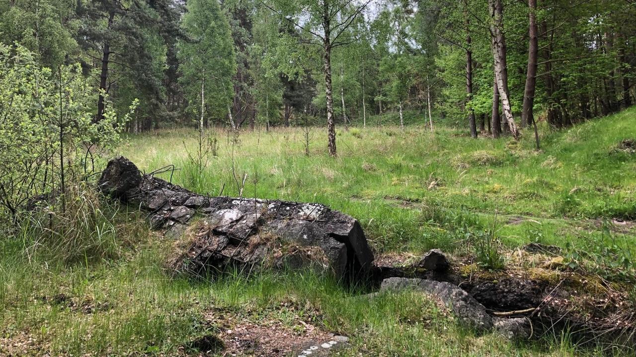 Das Testgelände für die "V2"-Raketen in Peenemünde ist heute Naturschutzgebiet und unzugänglich für die Öffentlichkeit Das Testgelände für die "V2"-Raketen in Peenemünde ist heute Naturschutzgebiet und unzugänglich für die Öffentlichkeit