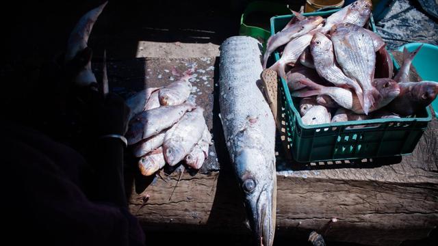 Ein Teil des Fangs wird direkt vom Strand weg verkauft an lokale Kunden in Dakar, Senegal am 19.2.2011.