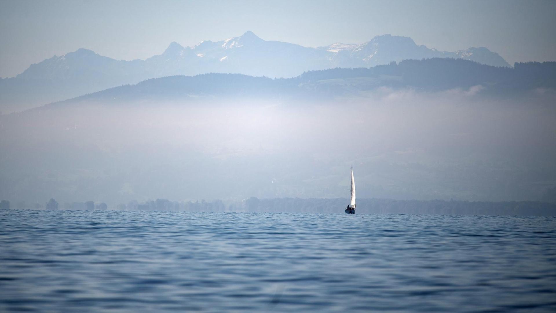 Ein Segelboot fährt auf dem Bodensee vor dem Alpenpanorama, aufgenommen im September 2019 Ein Segelboot fährt auf dem Bodensee vor dem Alpenpanorama, aufgenommen im September 2019