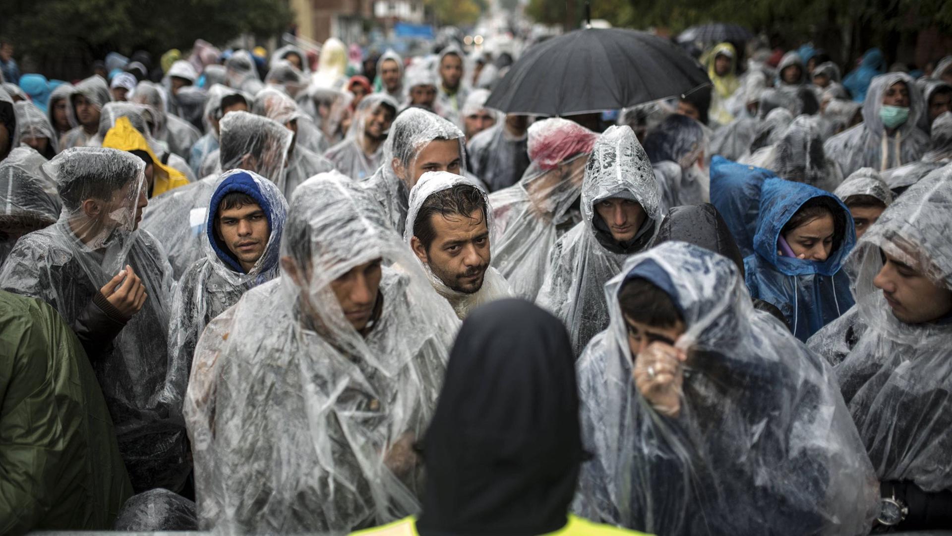 Flüchtlinge an der serbisch-mazedonischen Grenze in Preševo (Serbien) Flüchtlinge an der serbisch-mazedonischen Grenze in Preševo (Serbien)