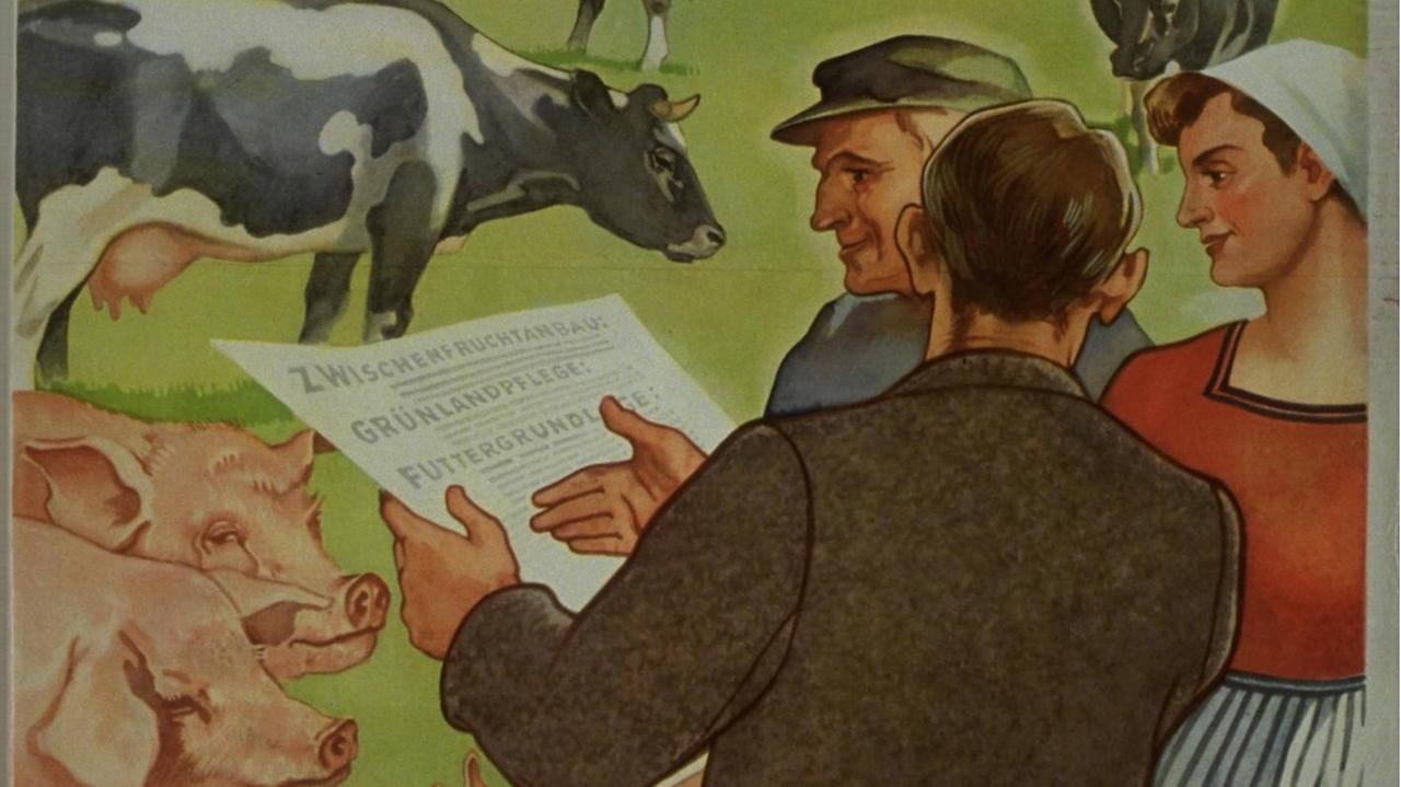 DDR-Plakat aus den 50er-Jahren: Gesunde Viehhaltung führt zum Wohlstand DDR-Plakat aus den 50er-Jahren: Gesunde Viehhaltung führt zum Wohlstand
