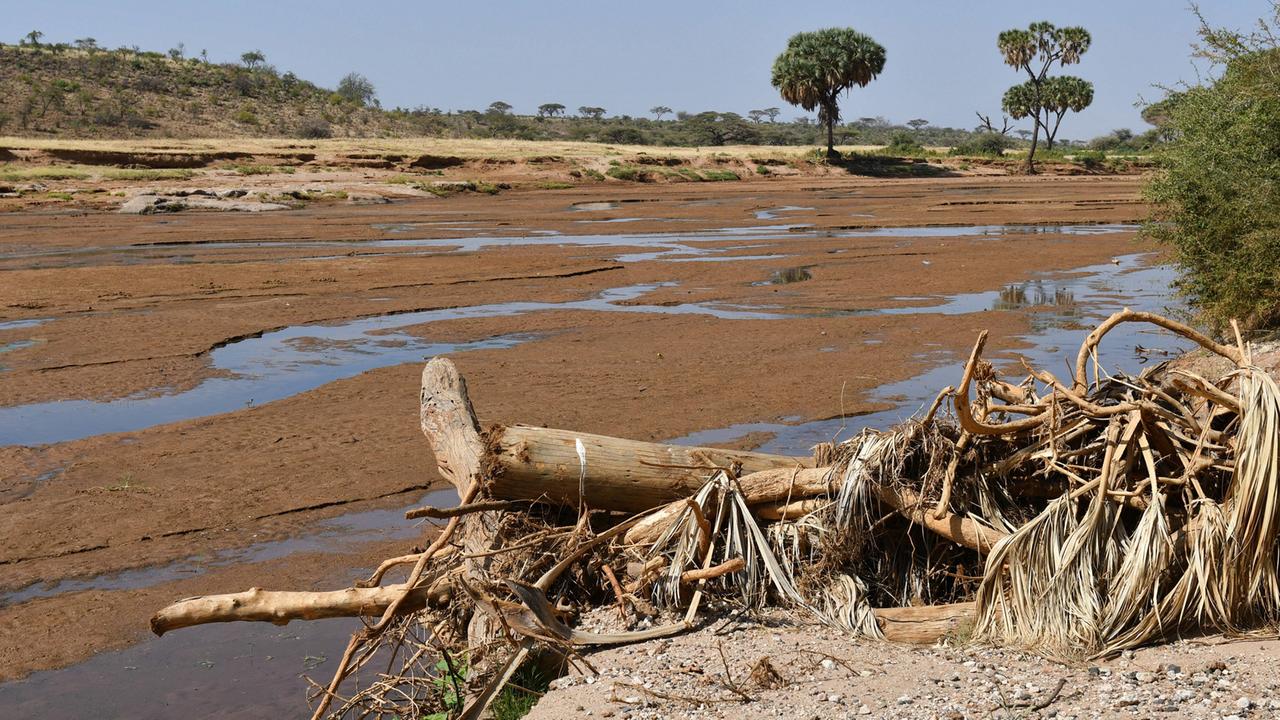 Trockenes Flussbett in Kenia Trockenes Flussbett in Kenia