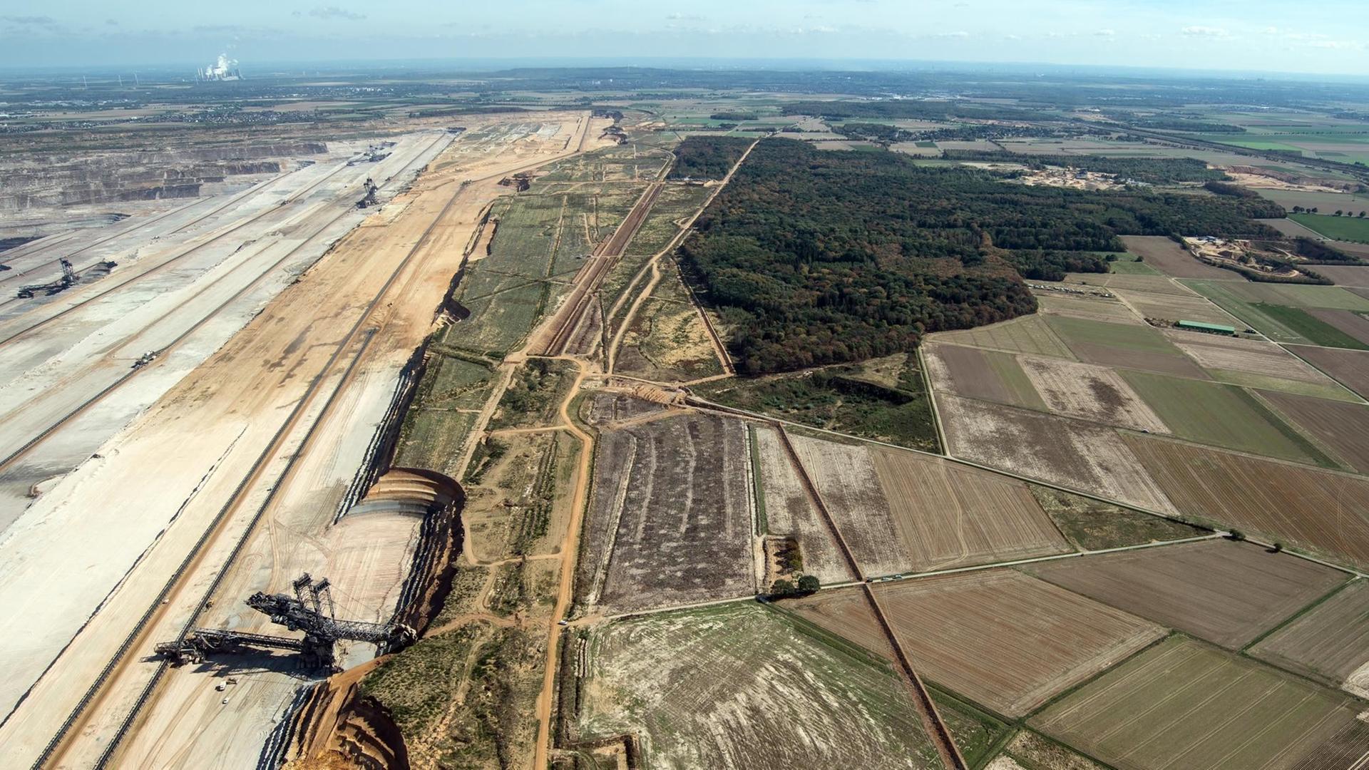 Das Foto zeigt, wie eng das Braunkohle-Abbbaugebiet Hambach an den Hambacher Forst grenzt. Das Foto zeigt, wie eng das Braunkohle-Abbbaugebiet Hambach an den Hambacher Forst grenzt.