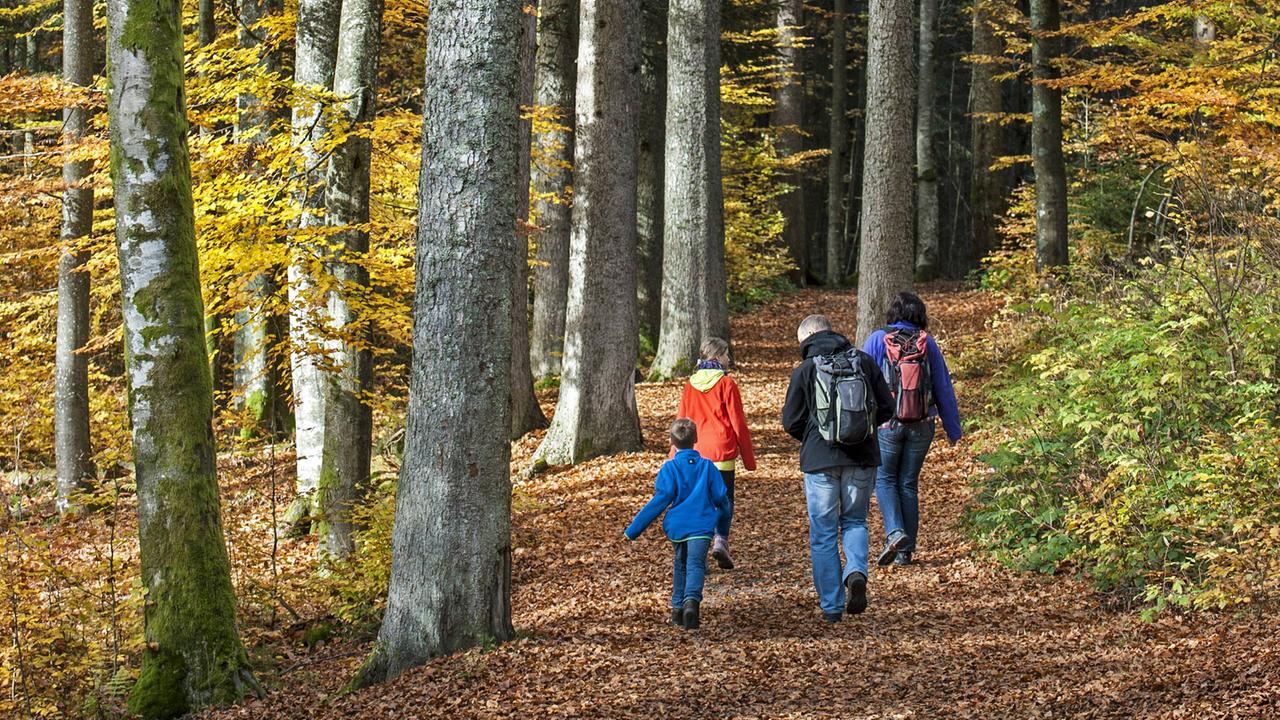Eine Familie mit zwei Kindern beim Spaziergang durch den herbstlichen Bayrischen Wald