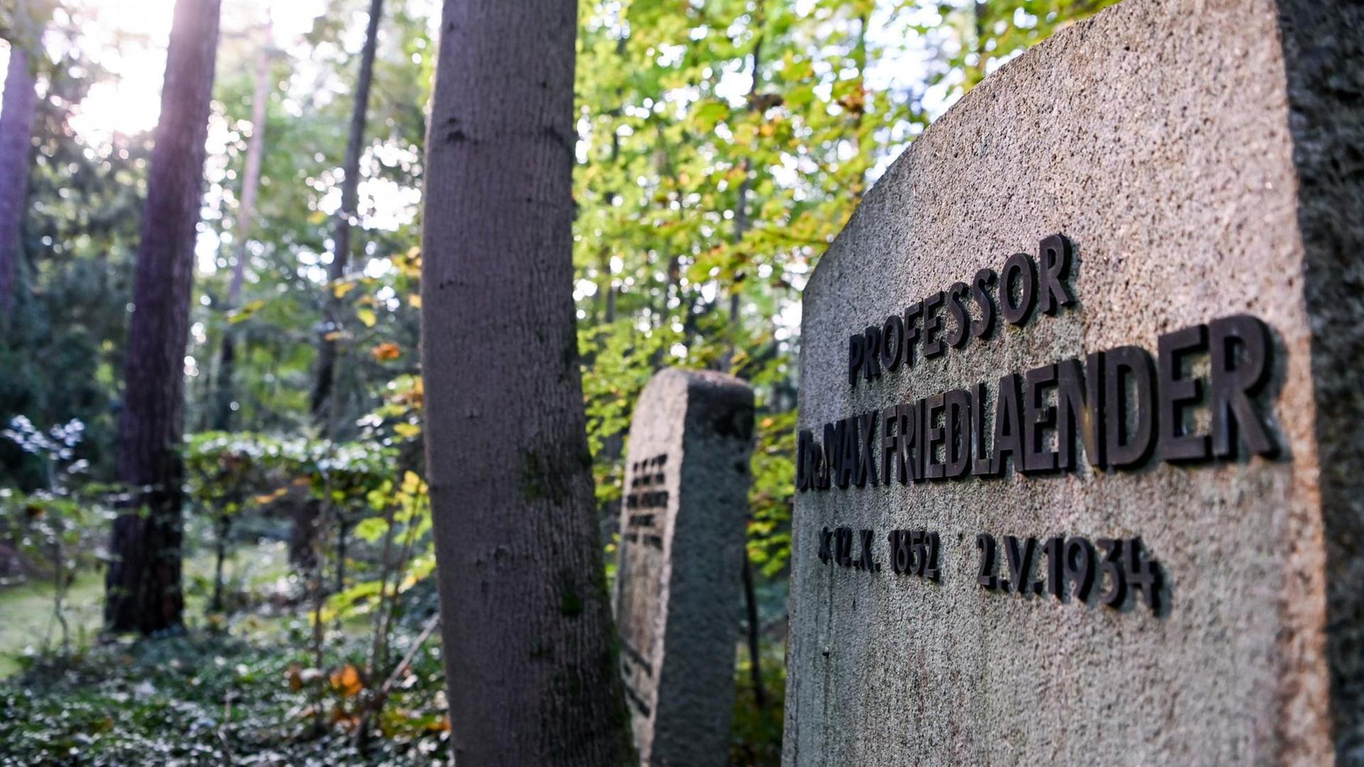 Das Grab von Max Friedlaender, ein Musikwissenschaftler jüdischen Glaubens auf dem Südwestkirchhof Stahnsdorf. Der Grabstein liegt zwischen Bäumen. Das Grab von Max Friedlaender, ein Musikwissenschaftler jüdischen Glaubens auf dem Südwestkirchhof Stahnsdorf. Der Grabstein liegt zwischen Bäumen.