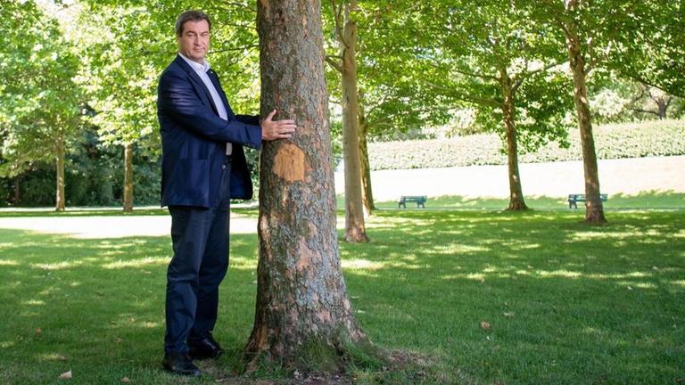 10.07.2019, Bayern, München: Markus Söder (CSU), Ministerpräsident von Bayern, steht neben einem Baum im Hofgarten hinter der bayerischen Staatskanzlei. Söder stellte am Mittwoch in einem Pressegespräch neue Klimaschutzforderungen vor - dazu zählt auch die geplante Pflanzung Millionen zusätzlicher Bäume. Foto: Peter Kneffel/dpa | Verwendung weltweit 10.07.2019, Bayern, München: Markus Söder (CSU), Ministerpräsident von Bayern, steht neben einem Baum im Hofgarten hinter der bayerischen Staatskanzlei. Söder stellte am Mittwoch in einem Pressegespräch neue Klimaschutzforderungen vor - dazu zählt auch die geplante Pflanzung Millionen zusätzlicher Bäume. Foto: Peter Kneffel/dpa | Verwendung weltweit