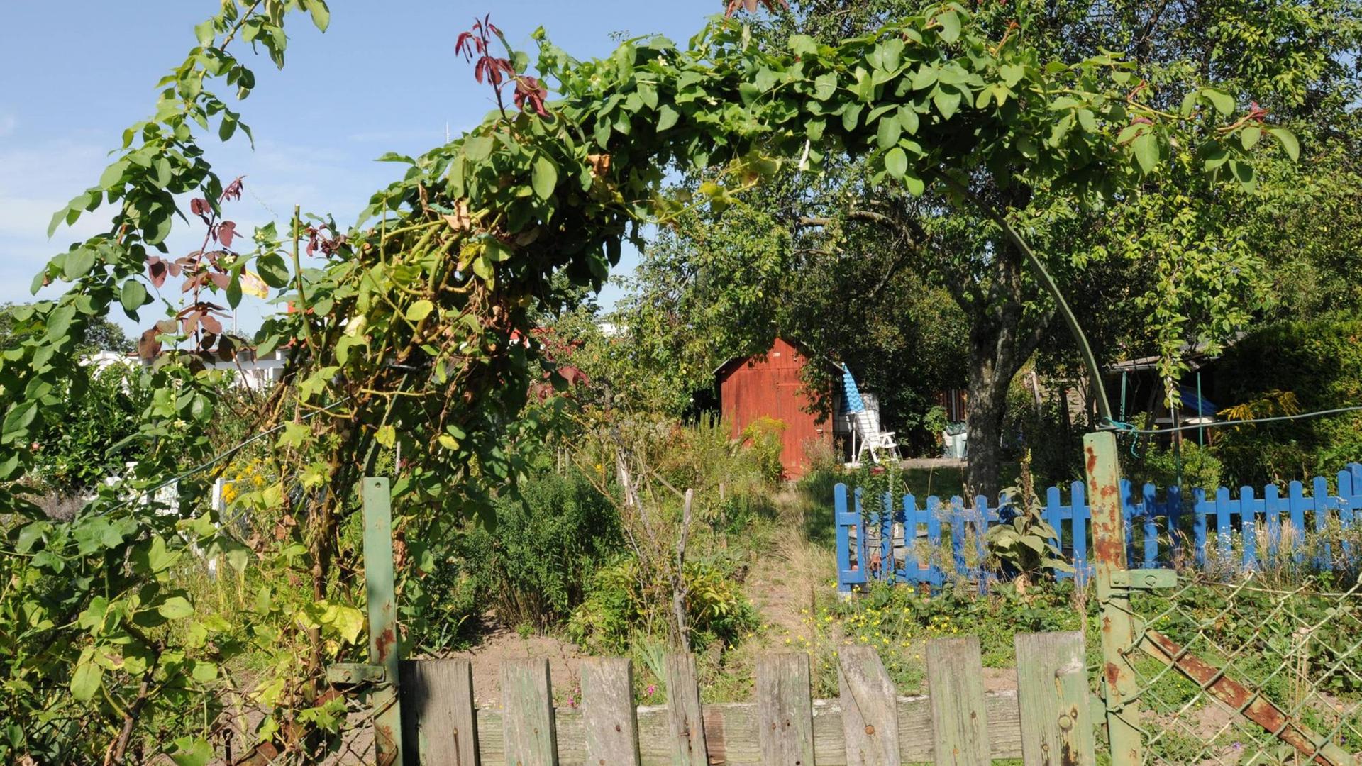 Der deutsche Stadtmensch liebt seinen Schrebergarten. Der deutsche Stadtmensch liebt seinen Schrebergarten.